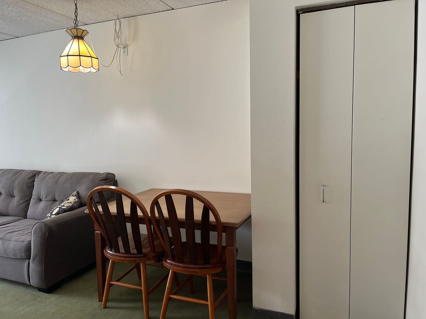 Ithaca Apartment: 110 Dryden Rd