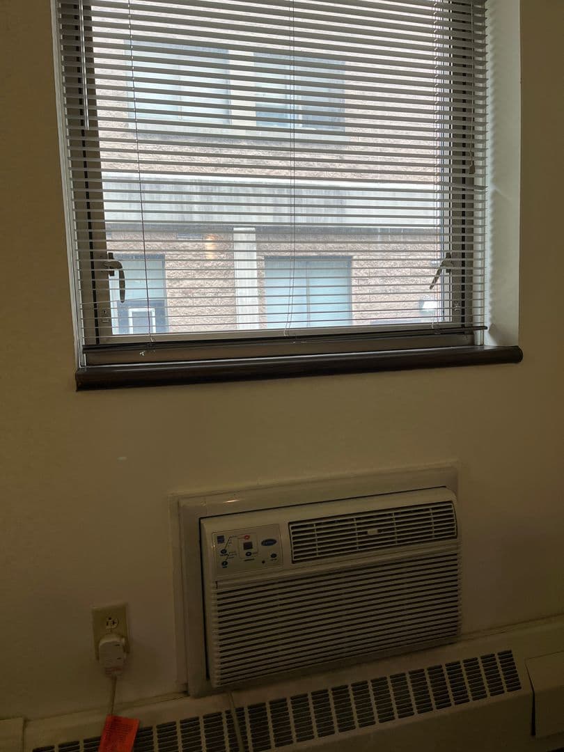 Ithaca Apartment: 407 College Ave
