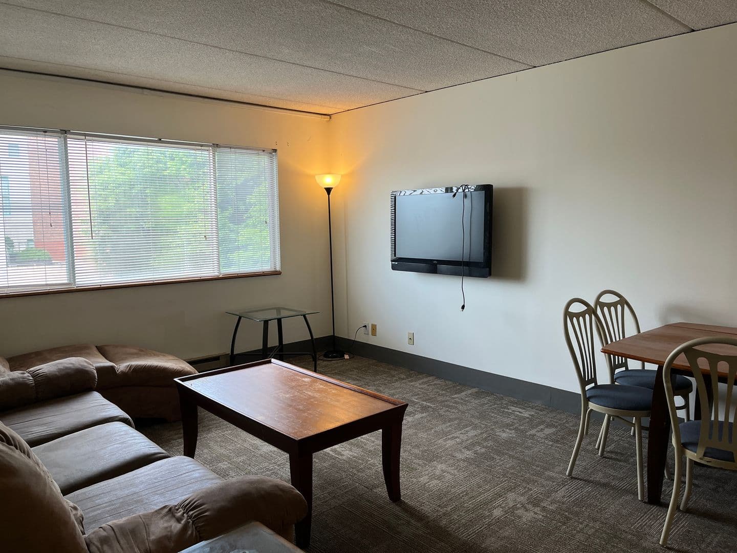 Ithaca Apartment: 110 Dryden Rd