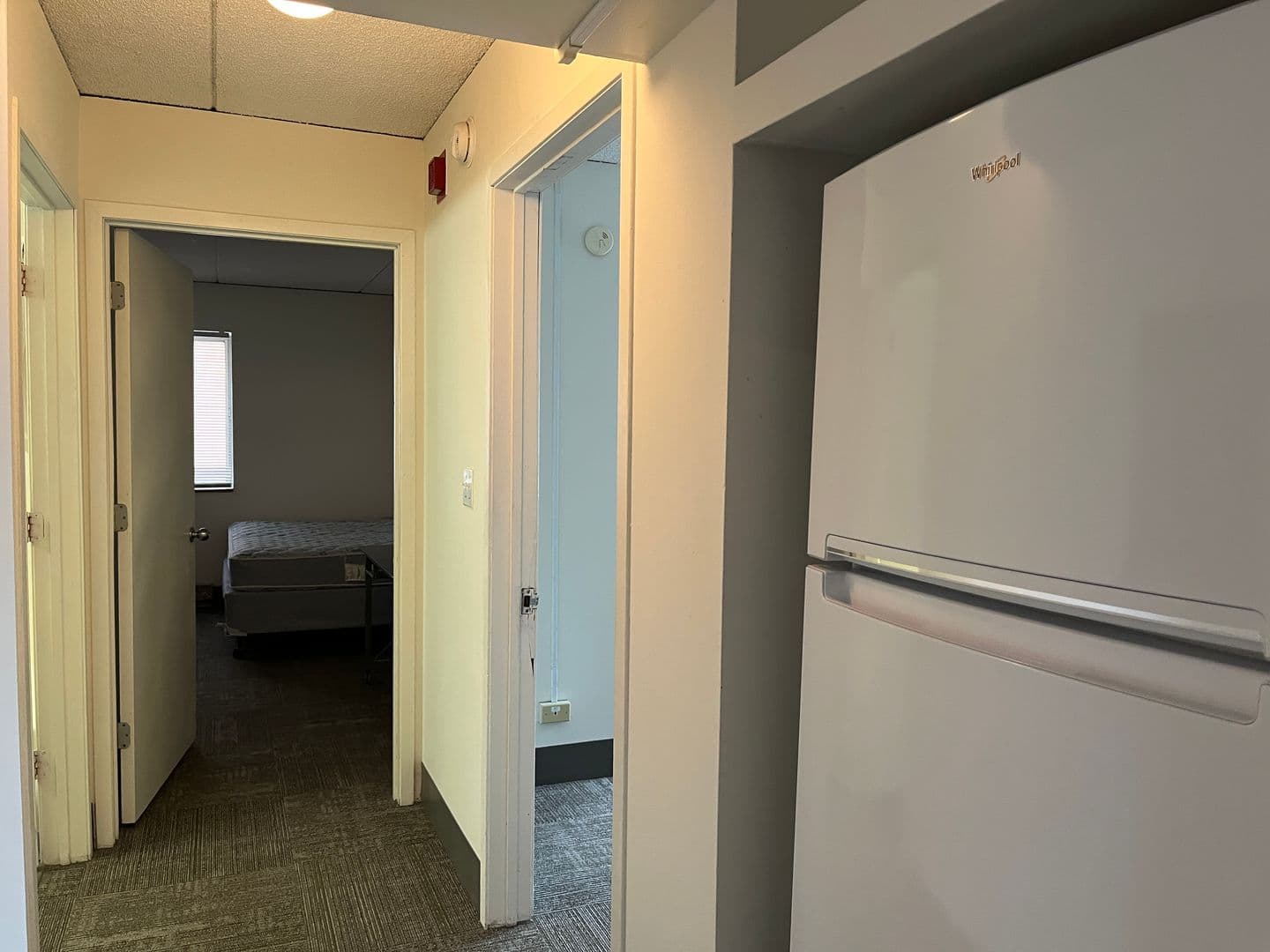 Ithaca Apartment: 110 Dryden Rd