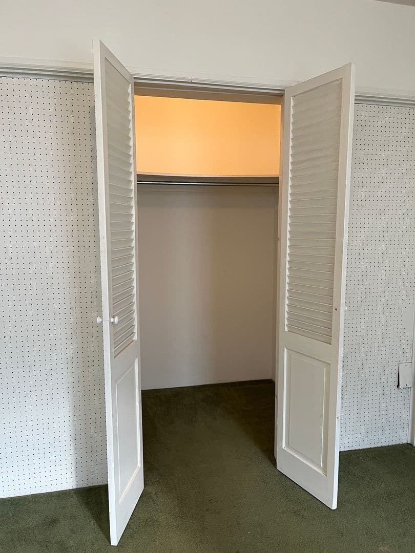 Ithaca Apartment: 100 W Buffalo St