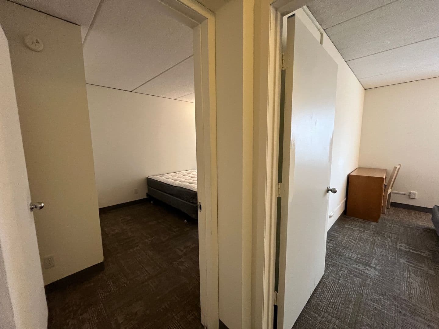Ithaca Apartment: 110 Dryden Rd