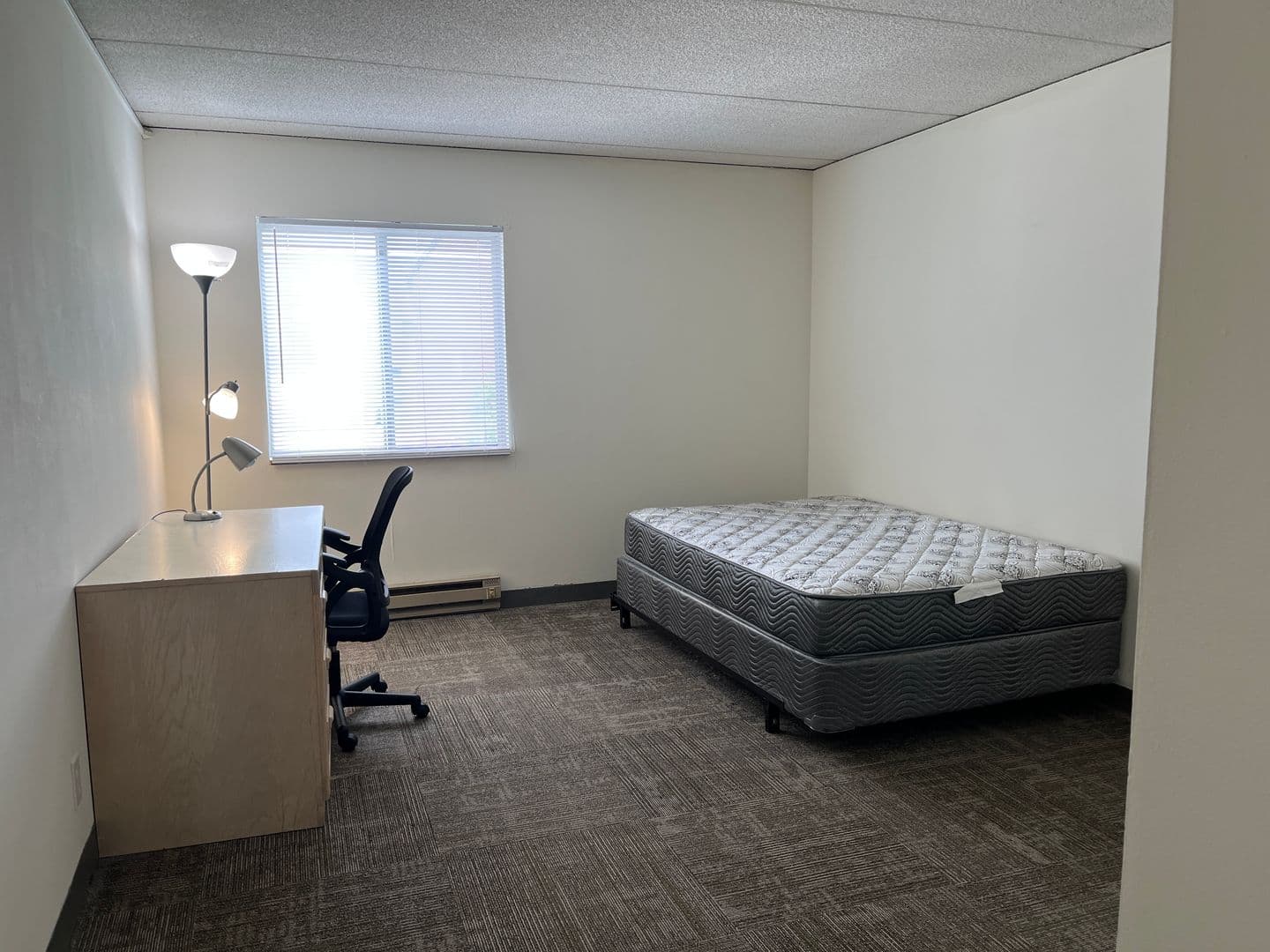 Ithaca Apartment: 110 Dryden Rd