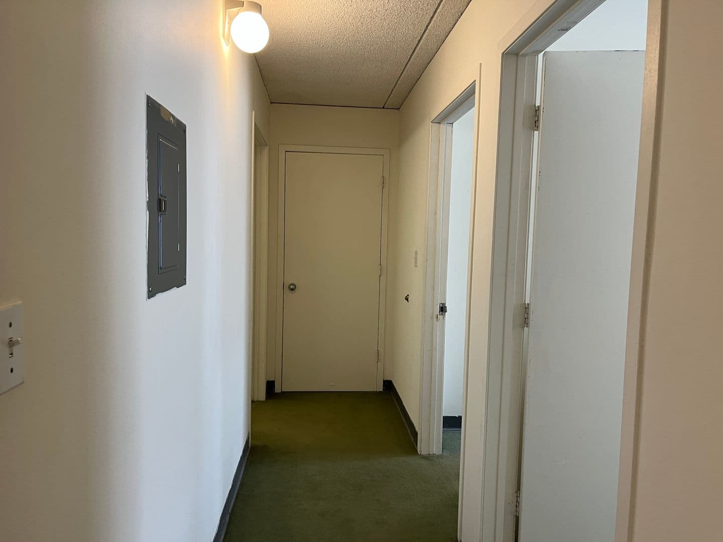 Ithaca Apartment: 110 Dryden Rd