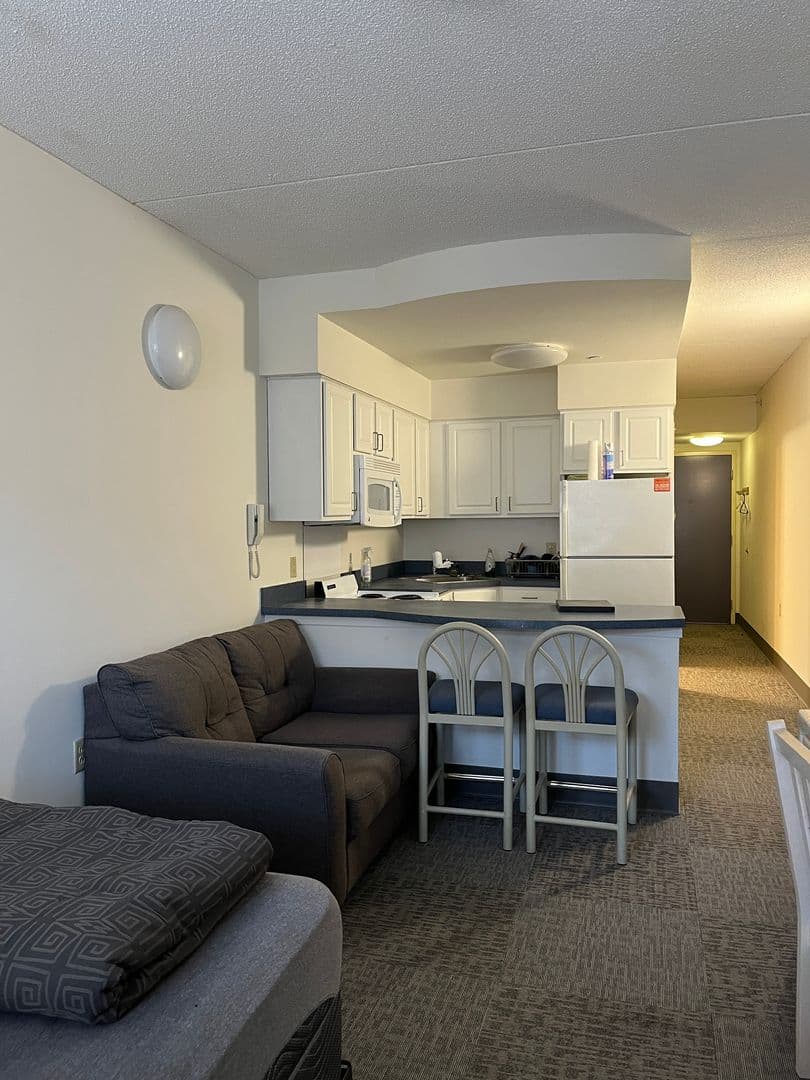 Ithaca Apartment: 407 College Ave