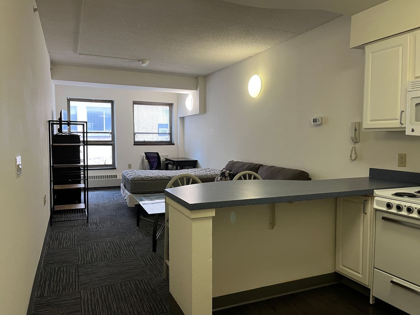 Ithaca Apartment: 407 College Ave