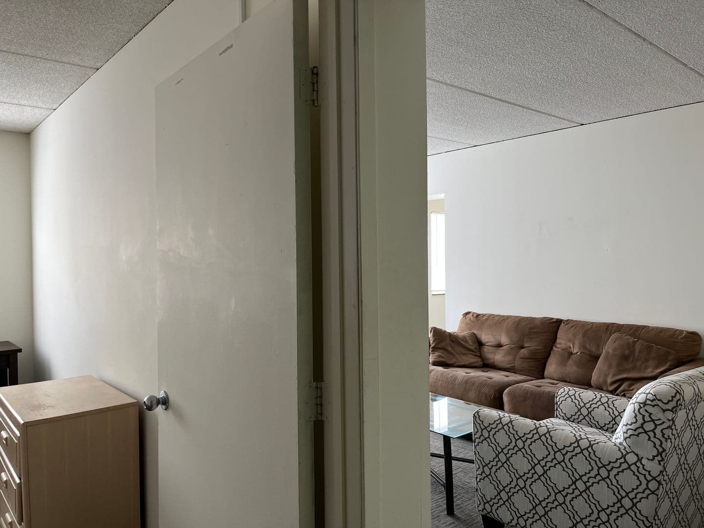 Ithaca Apartment: 110 Dryden Rd