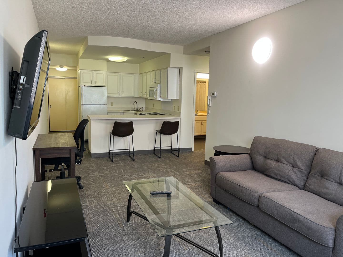 Ithaca Apartment: 407 College Ave