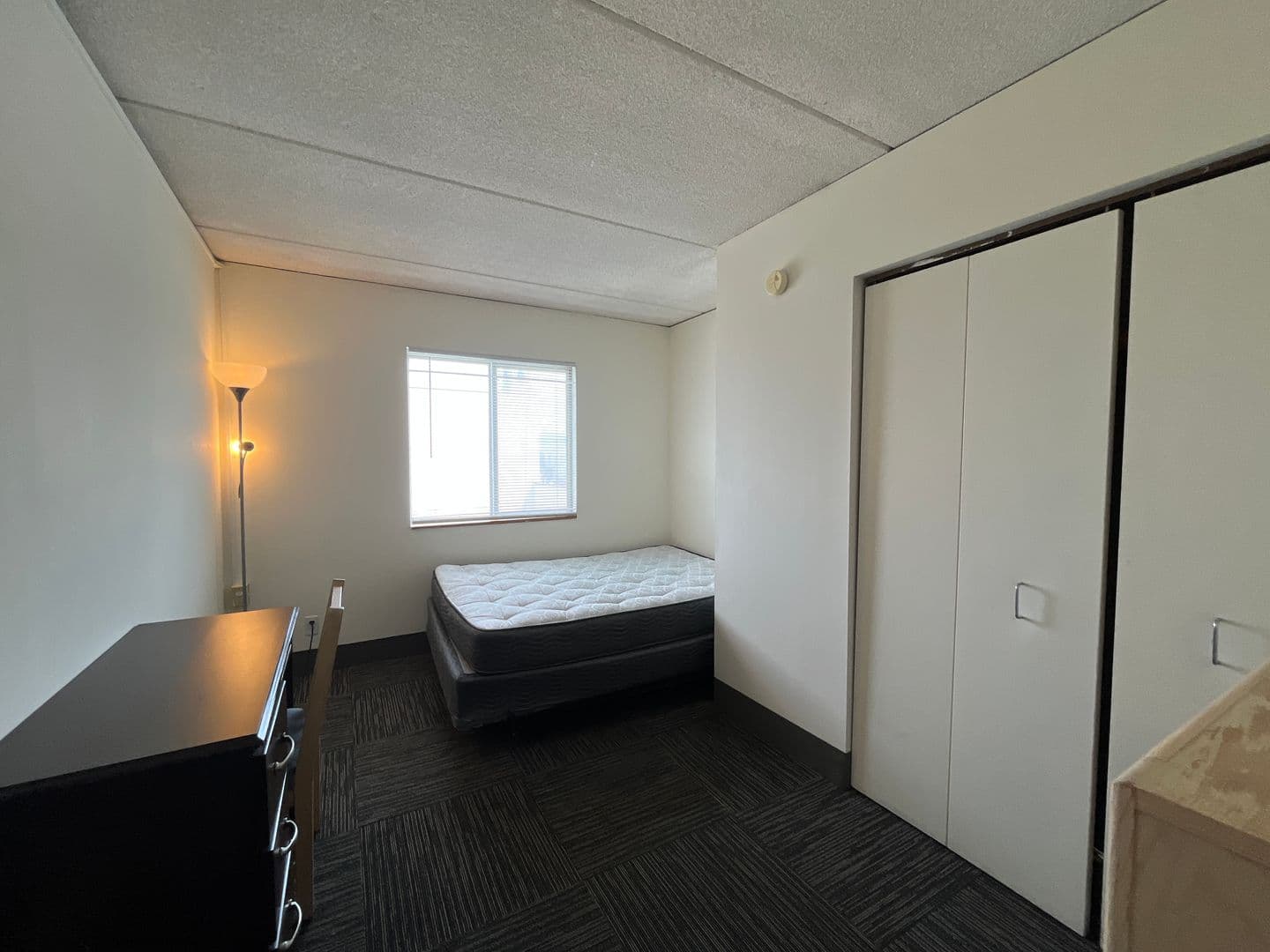Ithaca Apartment: 110 Dryden Rd