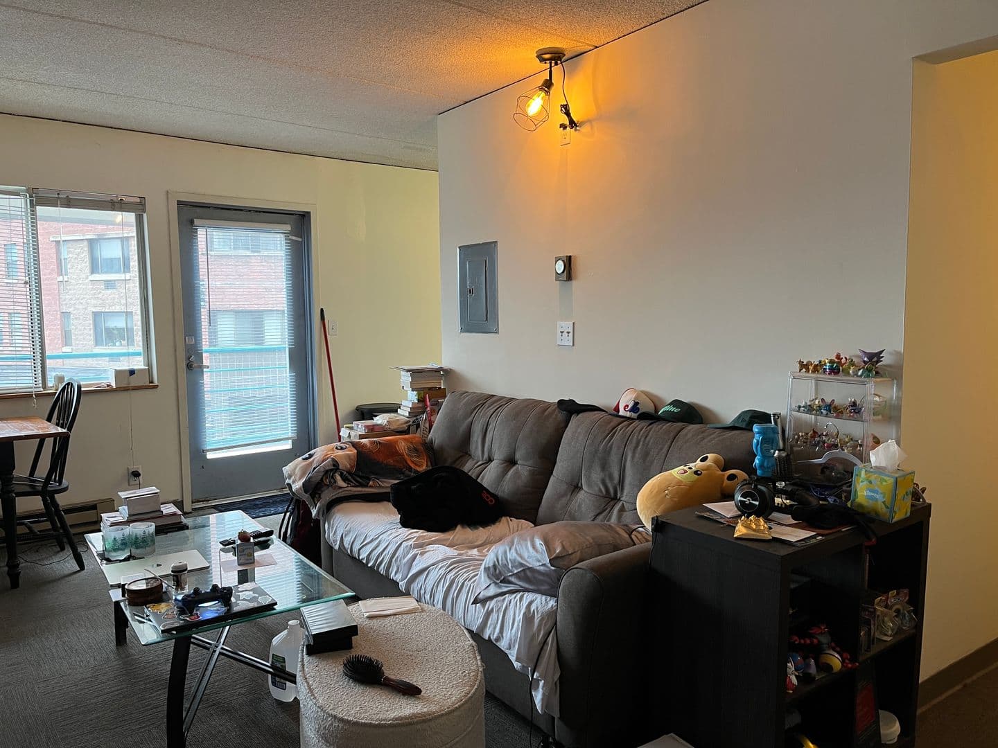 Ithaca Apartment: 110 Dryden Rd