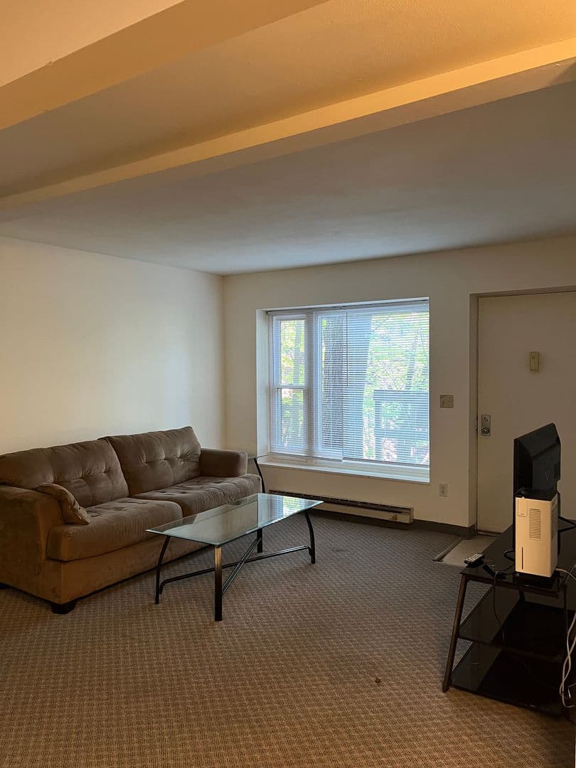 Ithaca Apartment: 516 University Ave