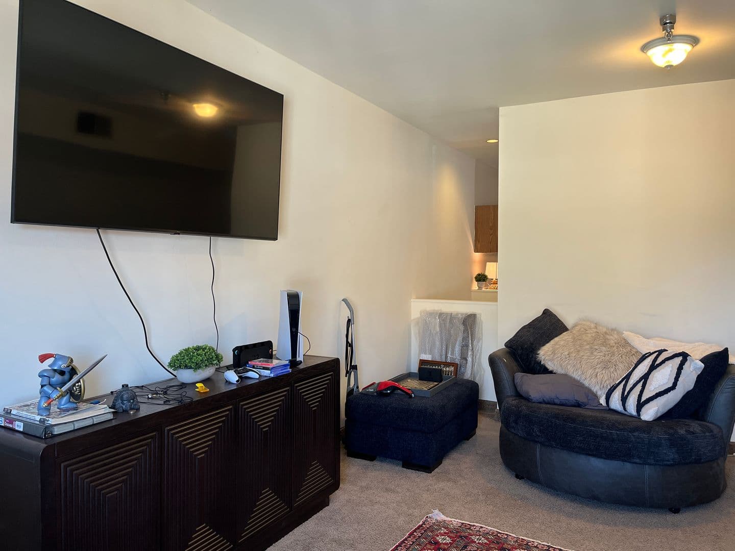 Ithaca Apartment: 171 E State St