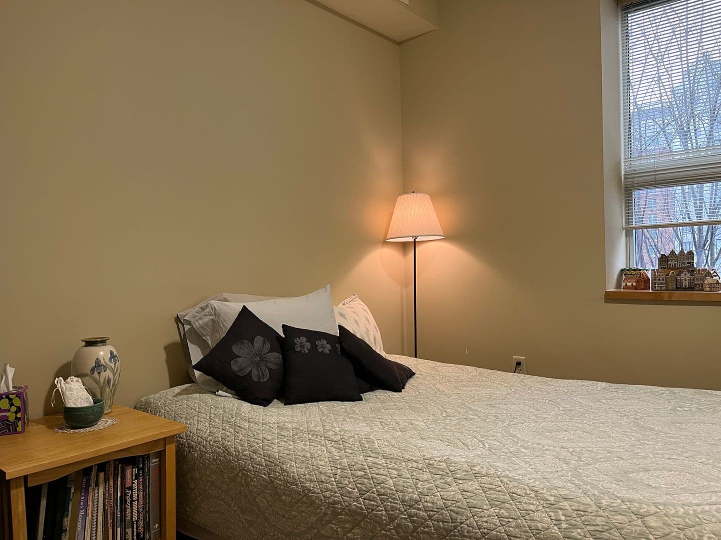 Ithaca Apartment: 311 E Green