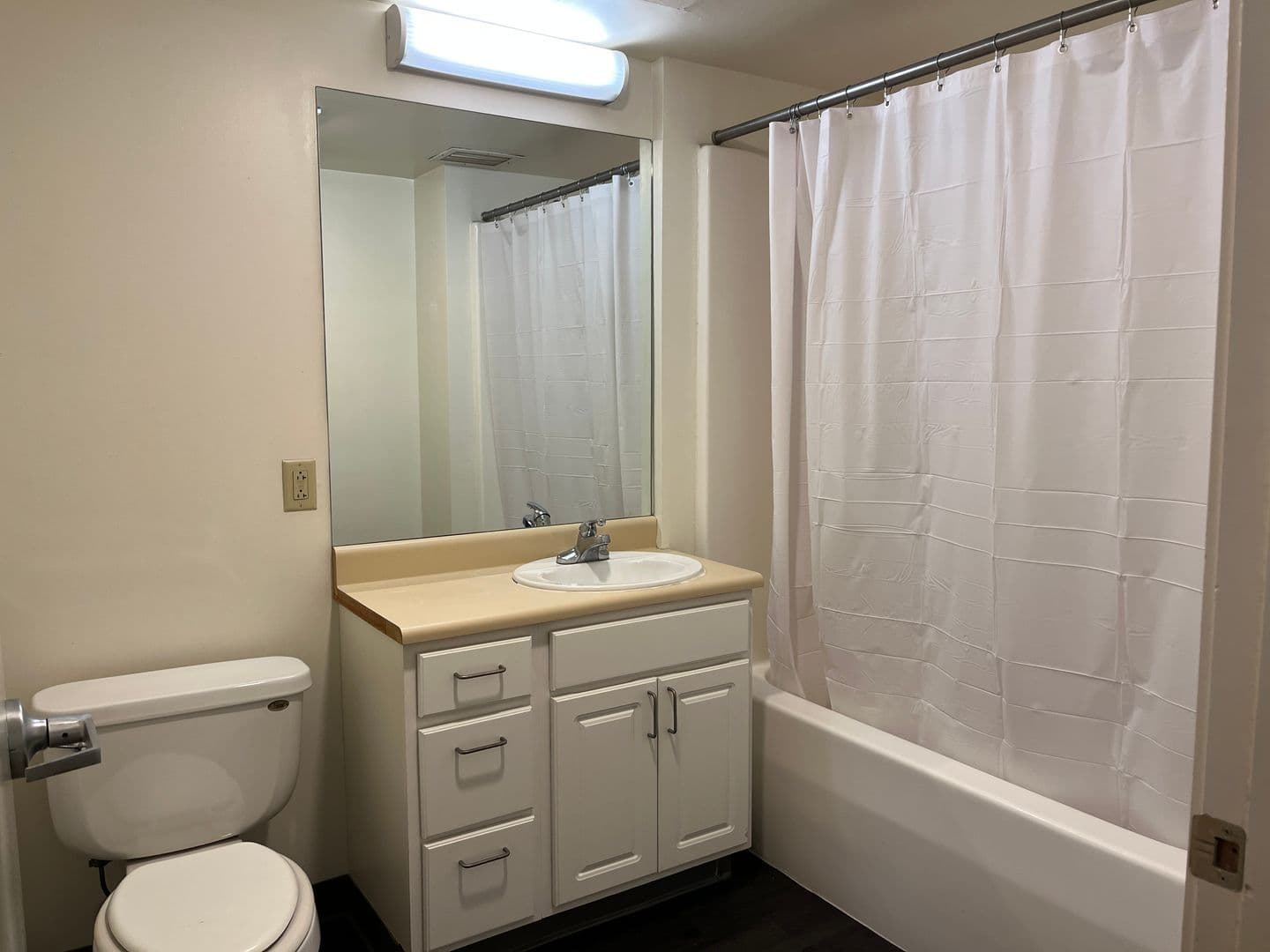 Ithaca Apartment: 407 College Ave