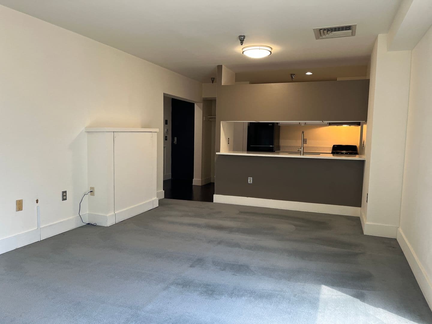 Ithaca Apartment: 171 E State St