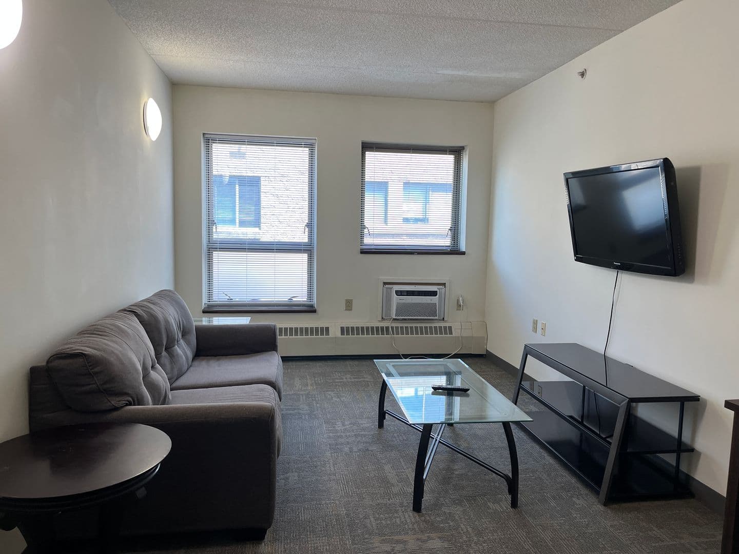 Ithaca Apartment: 407 College Ave