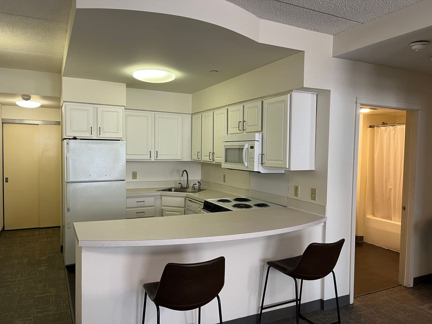 Ithaca Apartment: 407 College Ave