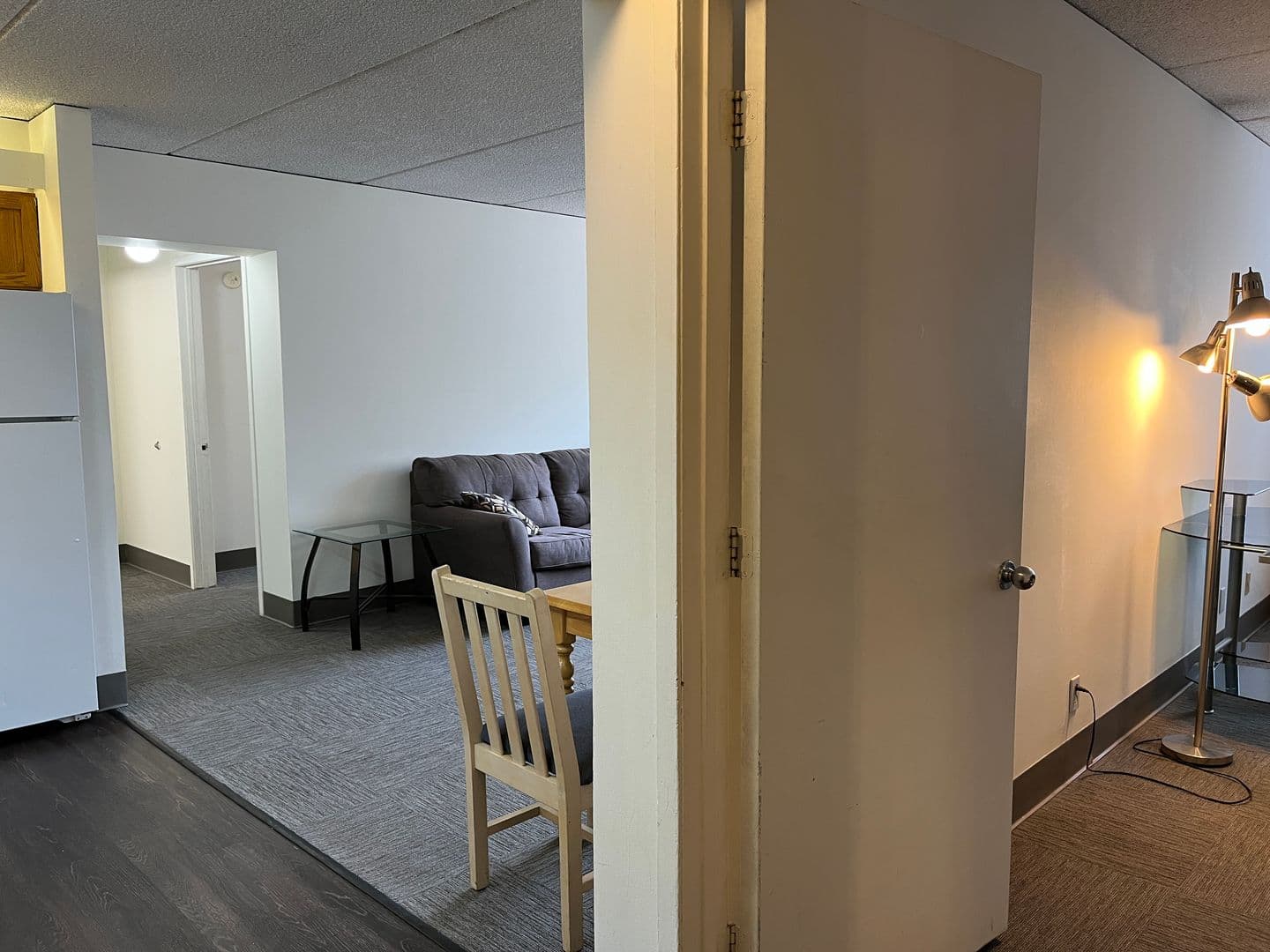 Ithaca Apartment: 110 Dryden Rd