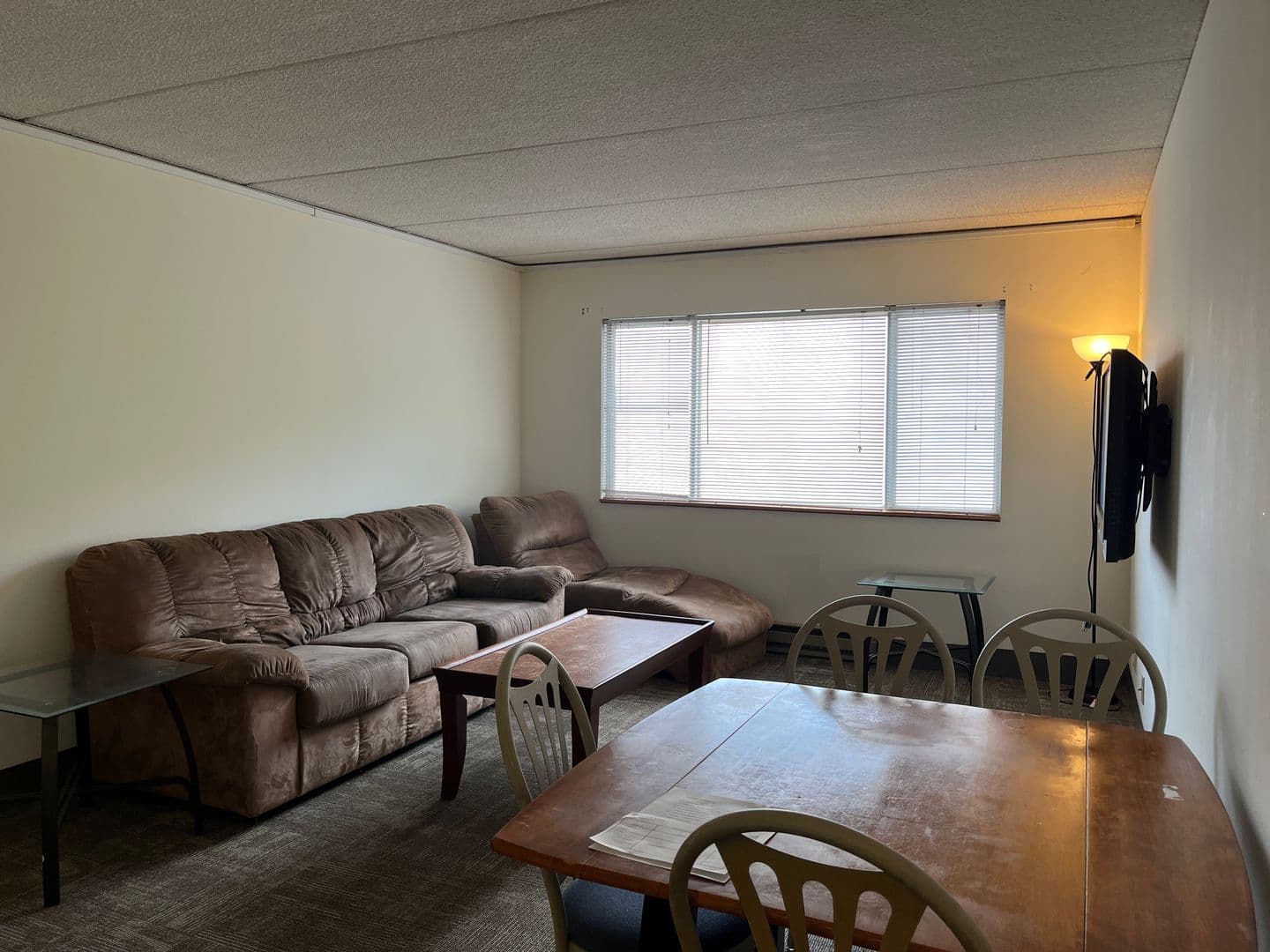 Ithaca Apartment: 110 Dryden Rd