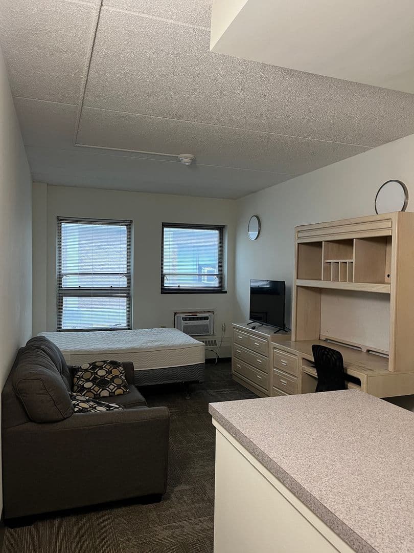 Ithaca Apartment: 407 College Ave