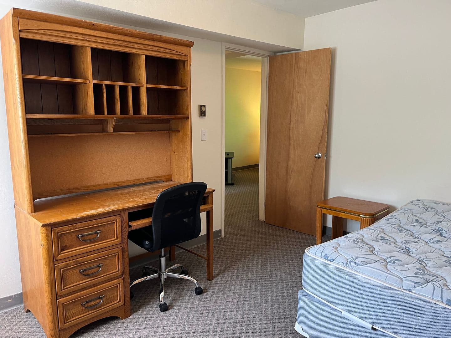 Ithaca Apartment: 516 University Ave