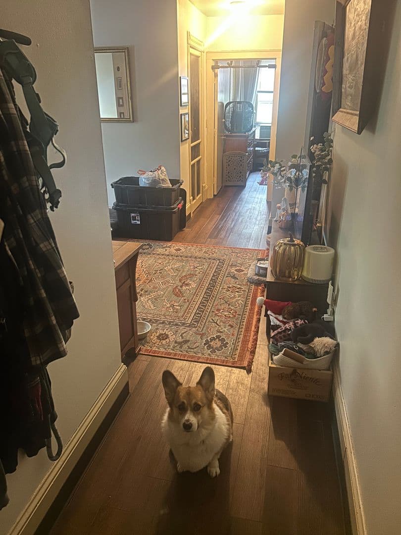Ithaca Apartment: 321-323 N Tioga St