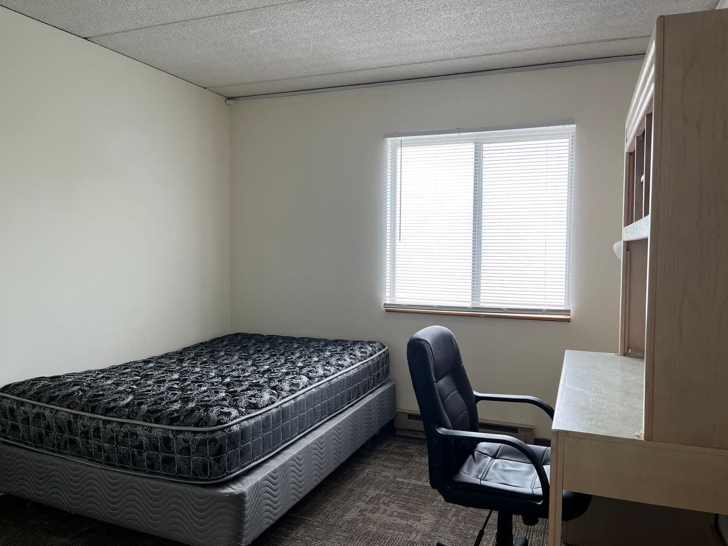 Ithaca Apartment: 110 Dryden Rd
