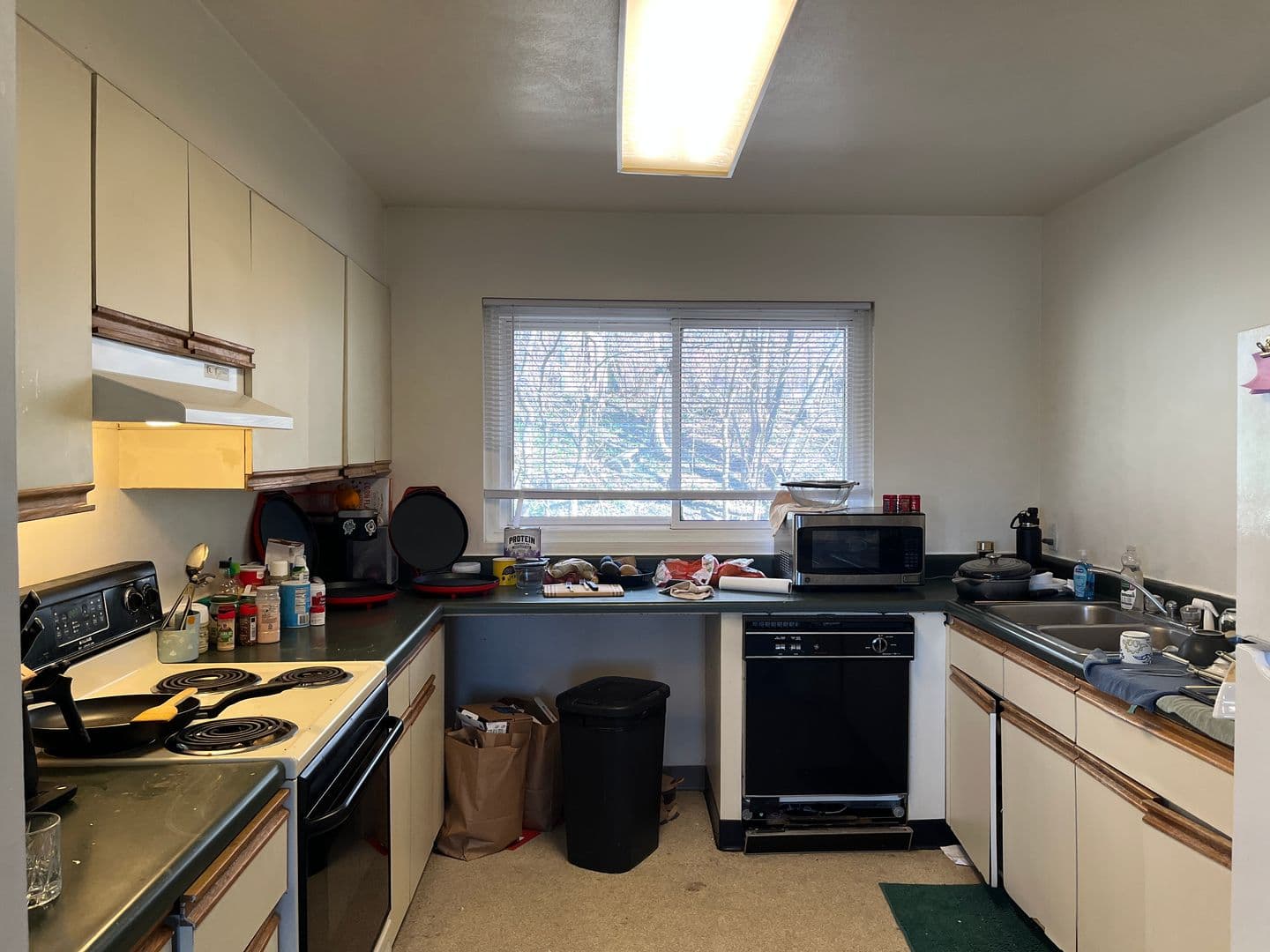 Ithaca Apartment: 516 University Ave