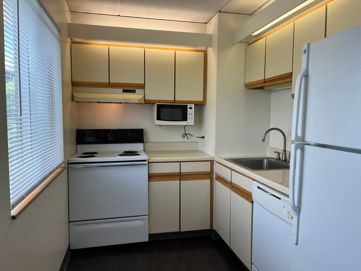 Ithaca Apartment: 110 Dryden Rd
