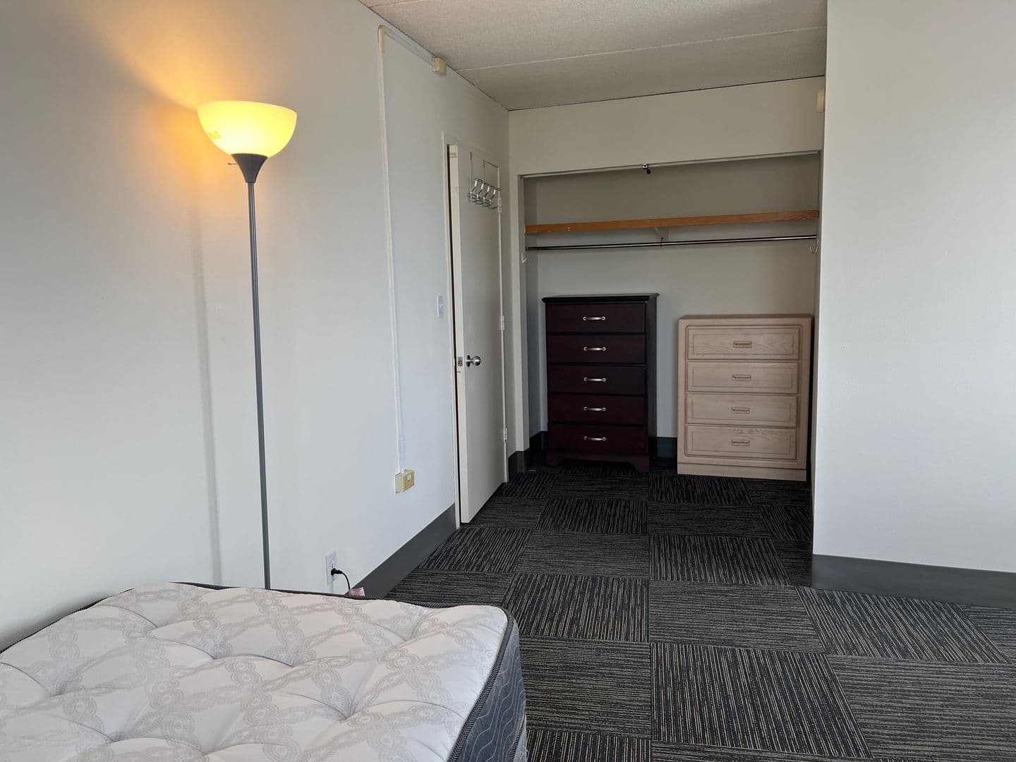 Ithaca Apartment: 110 Dryden Rd