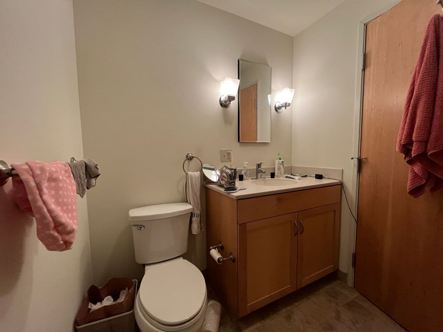 Ithaca Apartment: 311 E Green