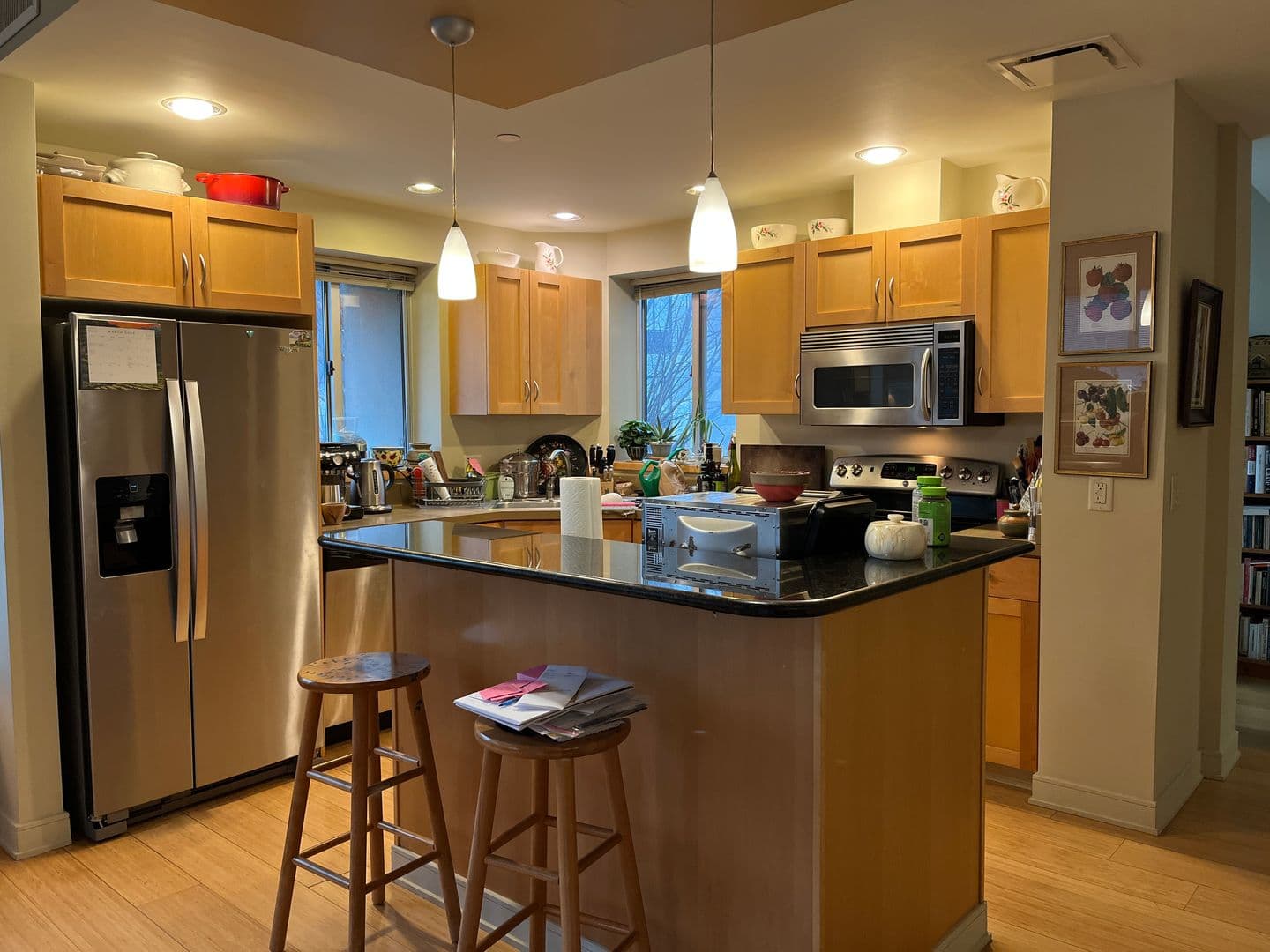 Ithaca Apartment: 311 E Green