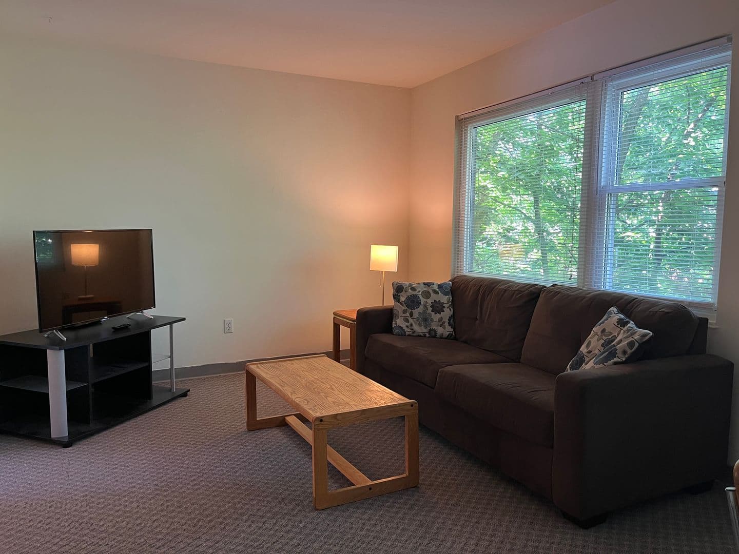 Ithaca Apartment: 516 University Ave