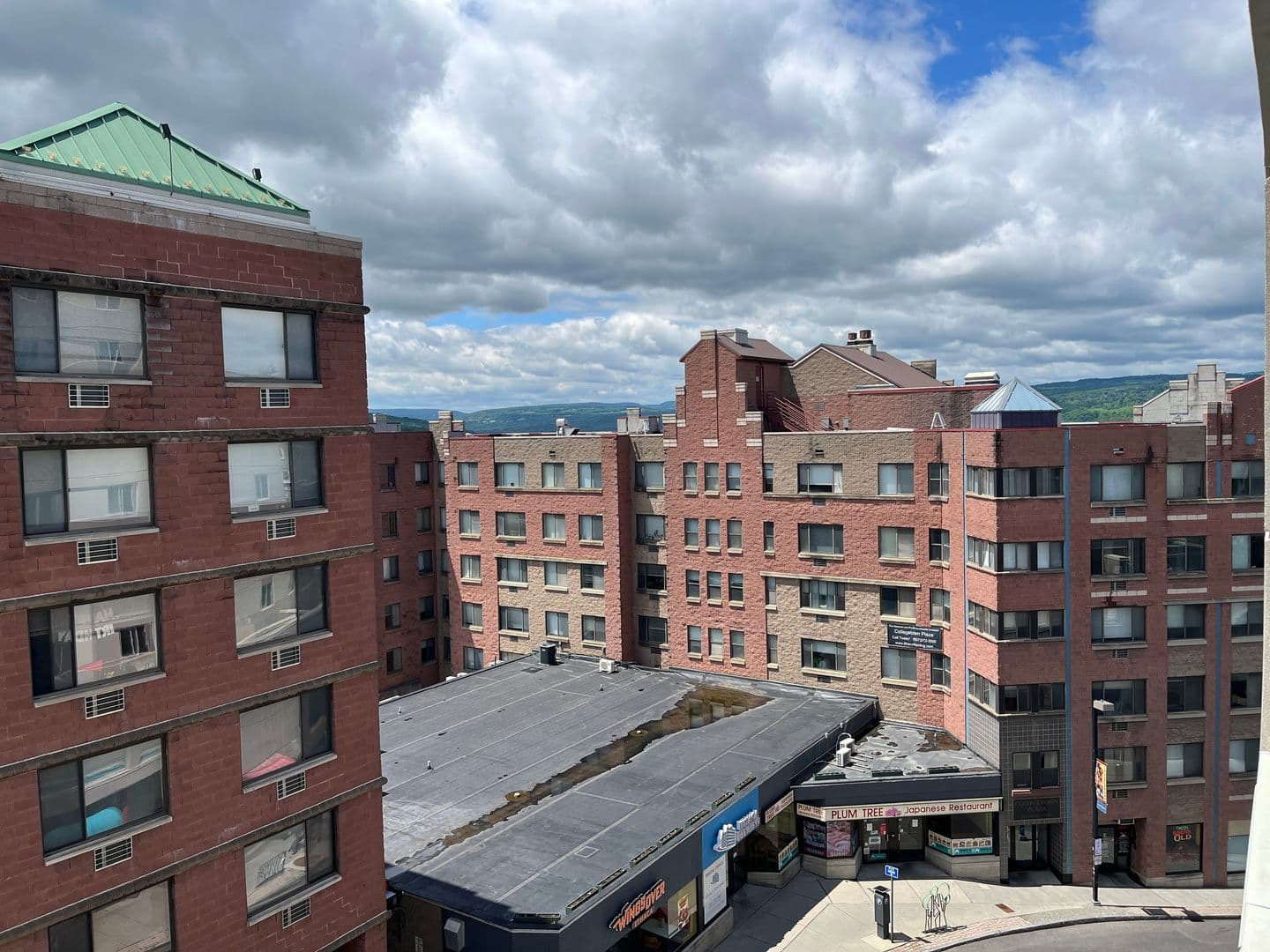 Ithaca Apartment: 110 Dryden Rd
