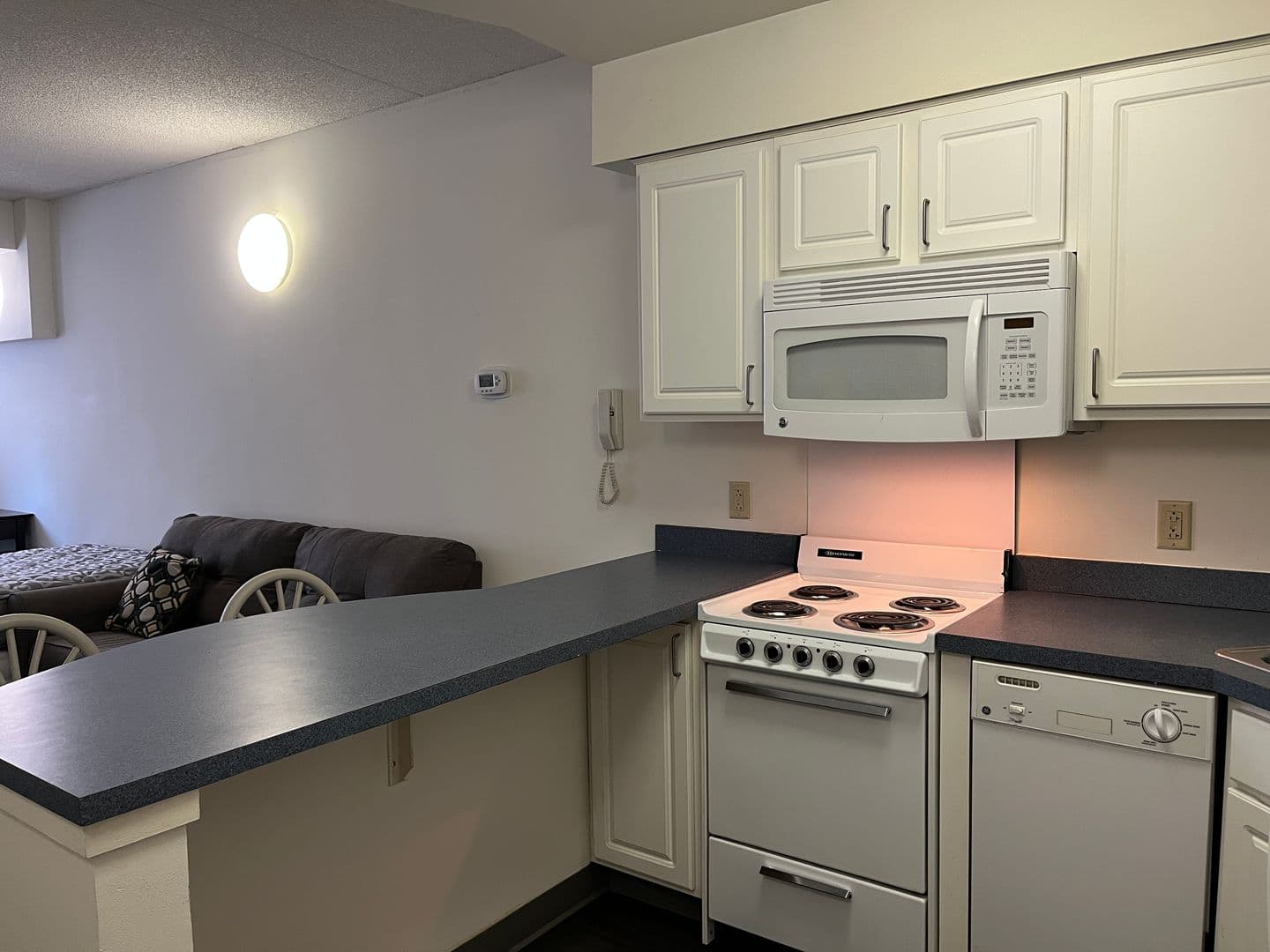 Ithaca Apartment: 407 College Ave
