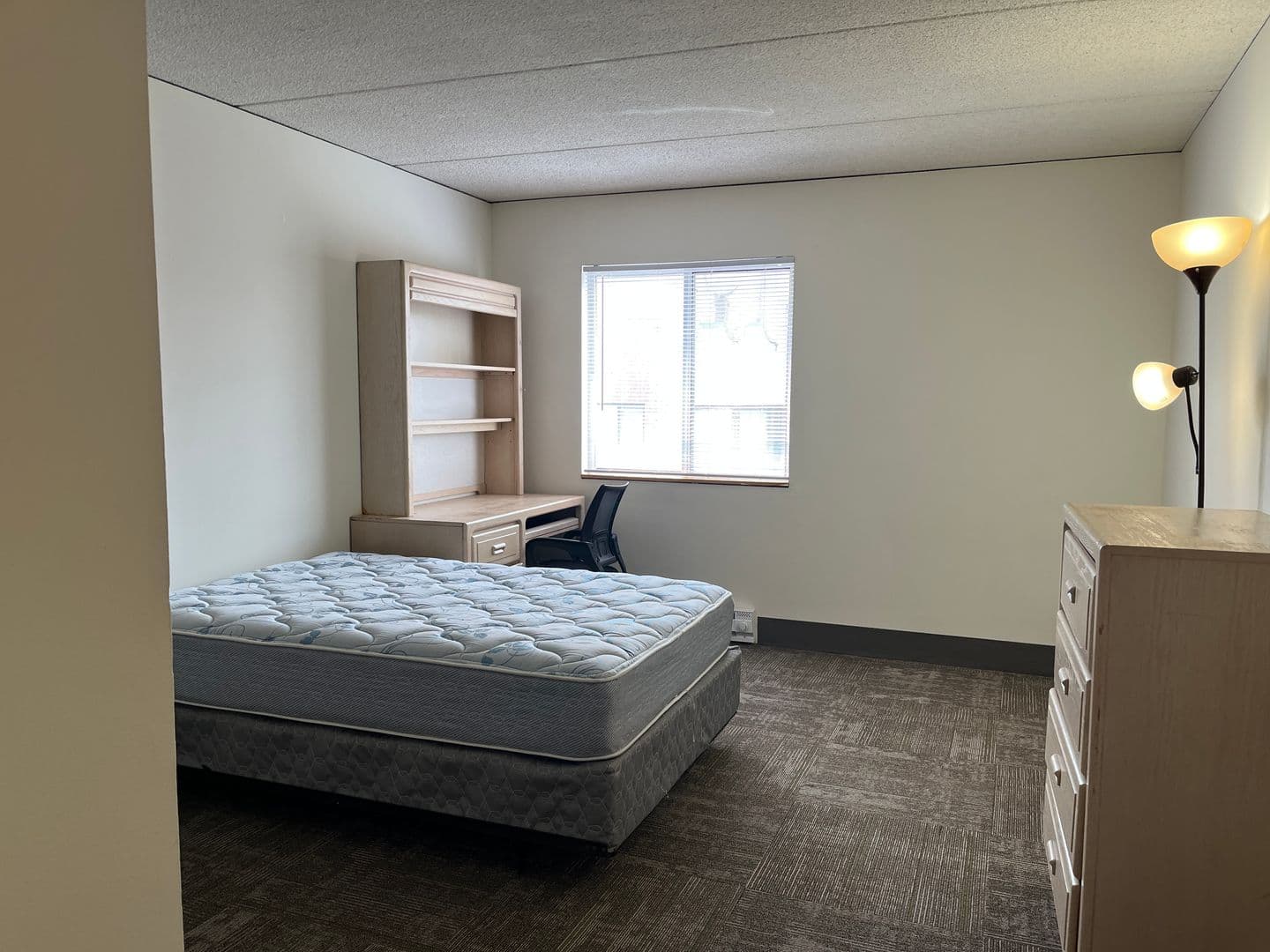 Ithaca Apartment: 110 Dryden Rd