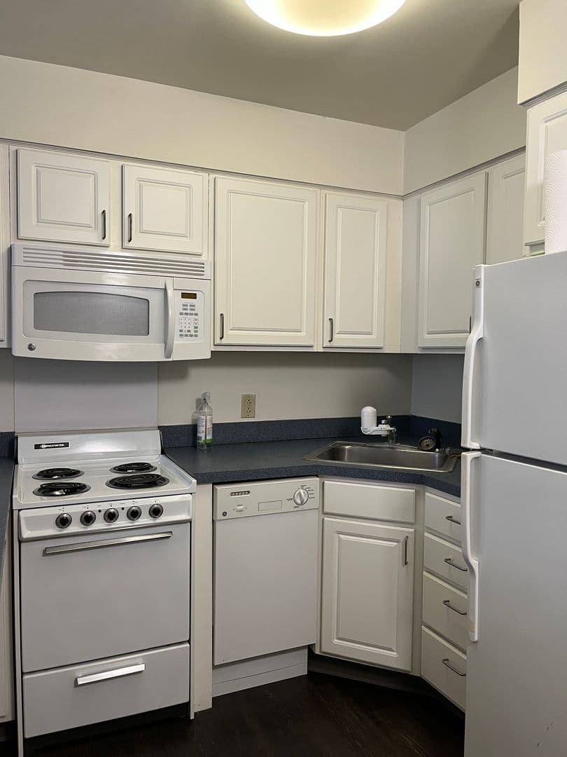Ithaca Apartment: 407 College Ave