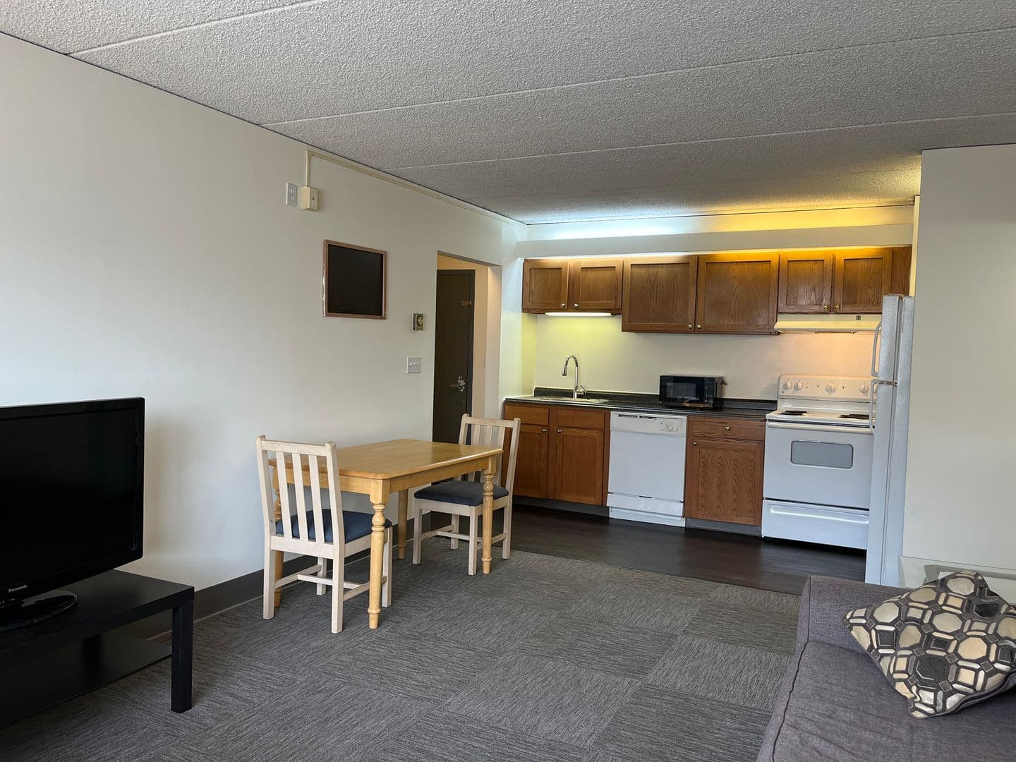 Ithaca Apartment: 110 Dryden Rd