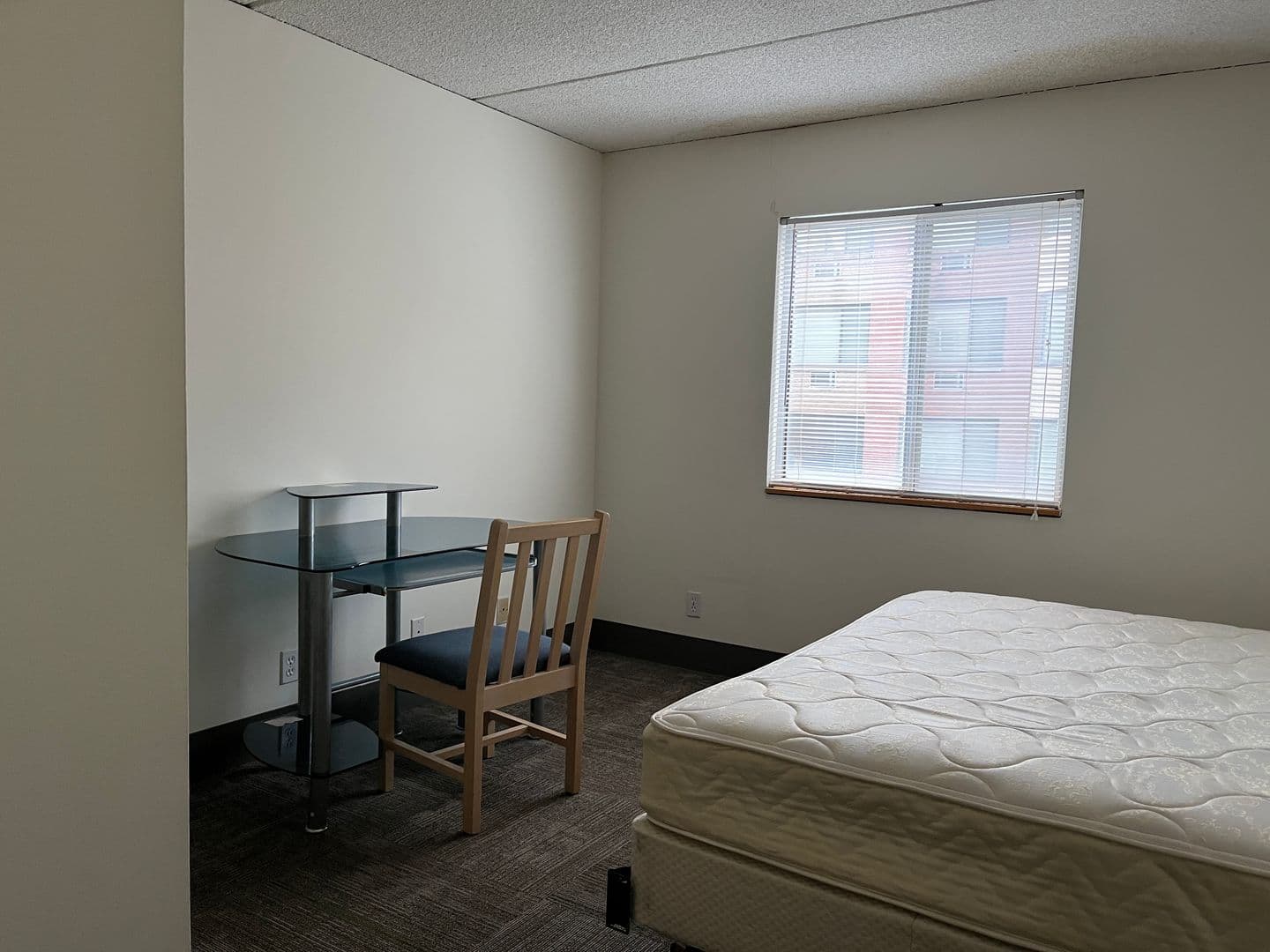 Ithaca Apartment: 110 Dryden Rd