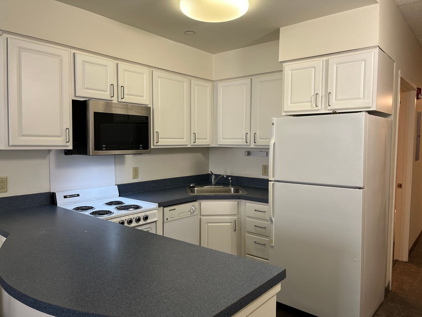 Ithaca Apartment: 407 College Ave