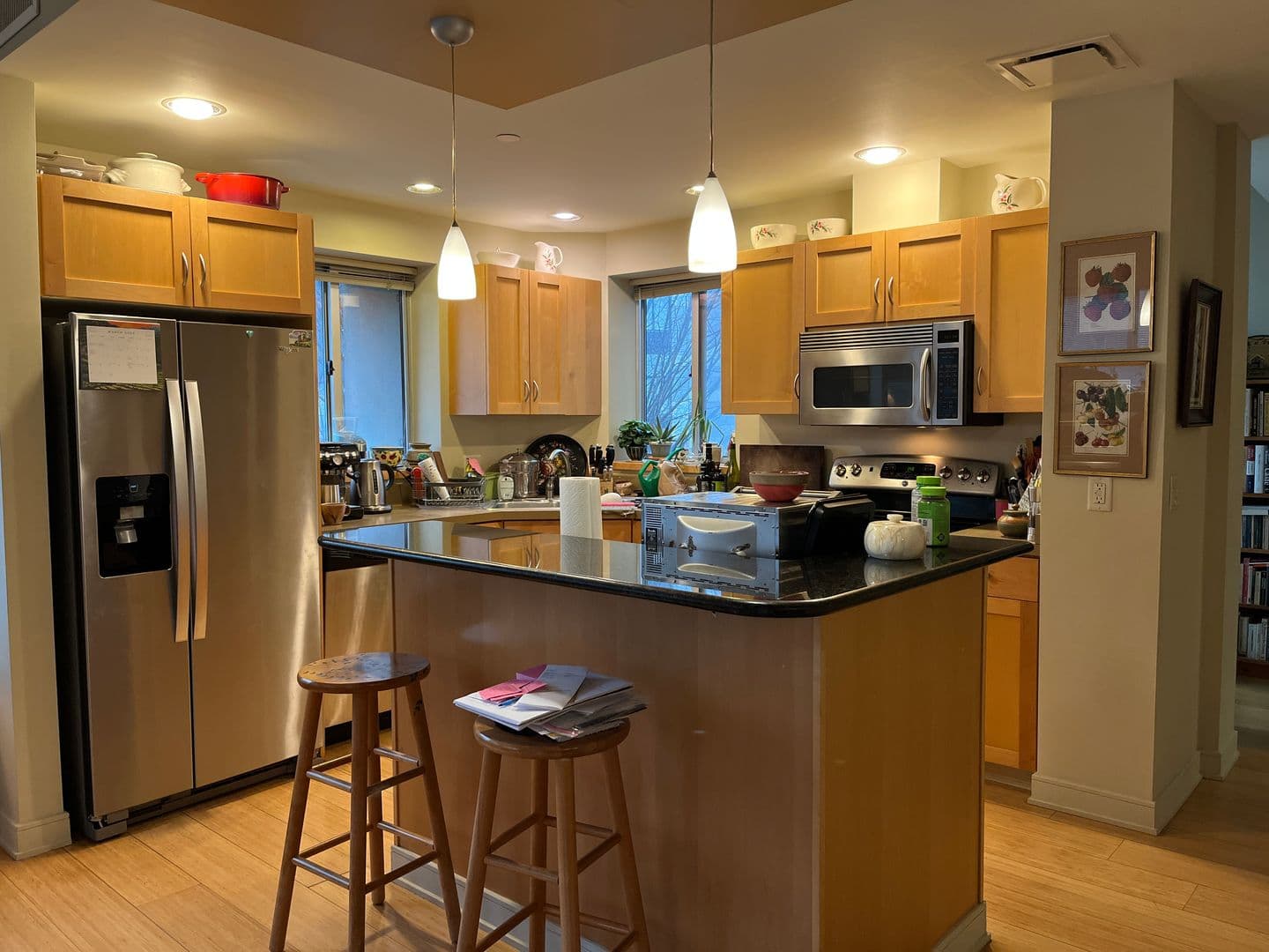 Ithaca Apartment: 311 E Green