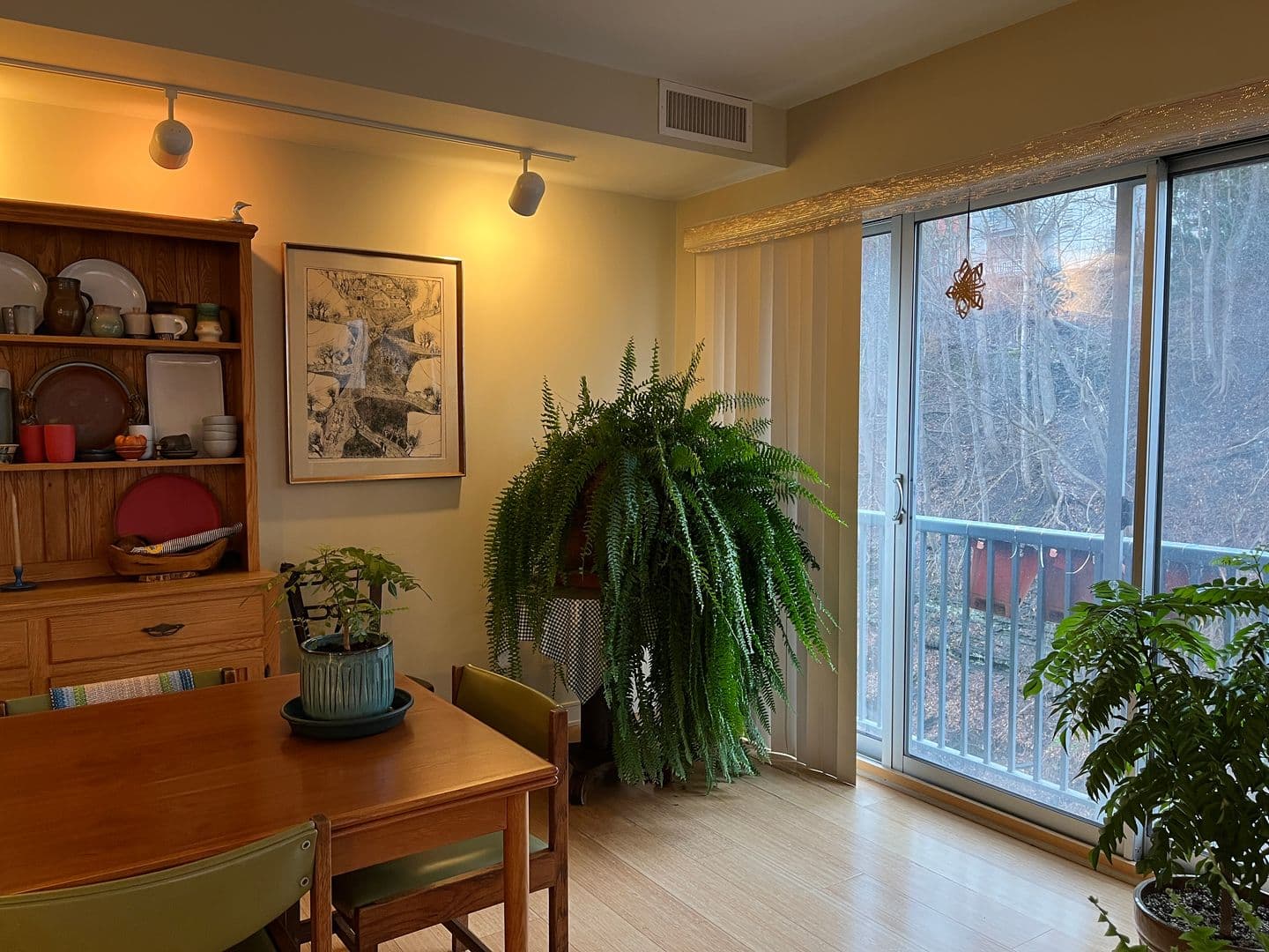 Ithaca Apartment: 311 E Green