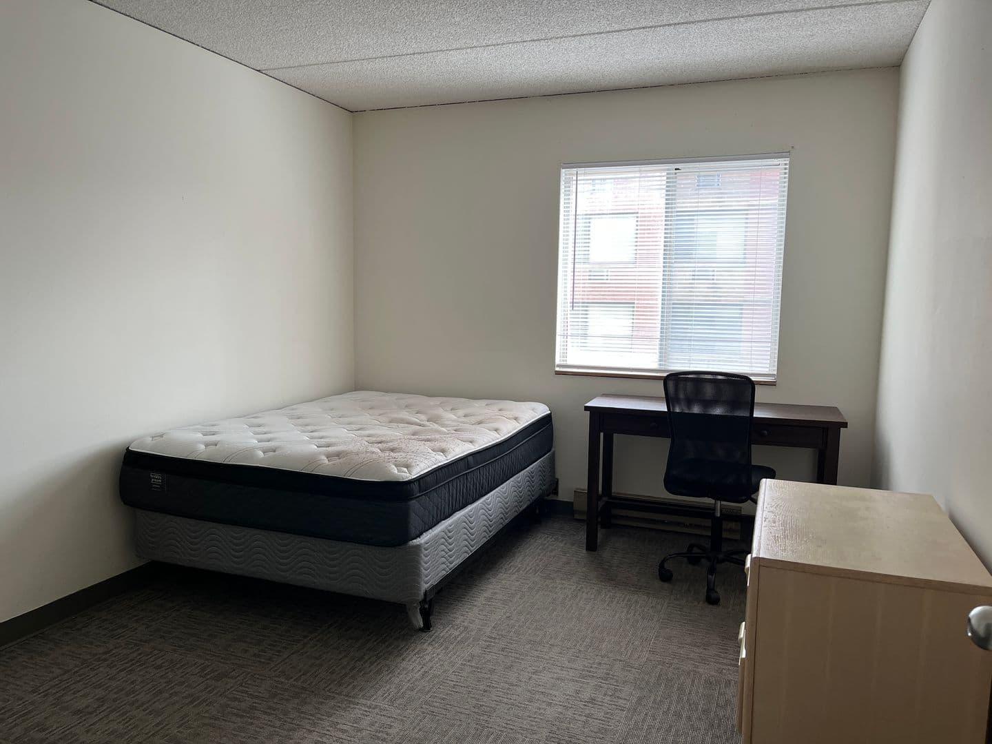Ithaca Apartment: 110 Dryden Rd