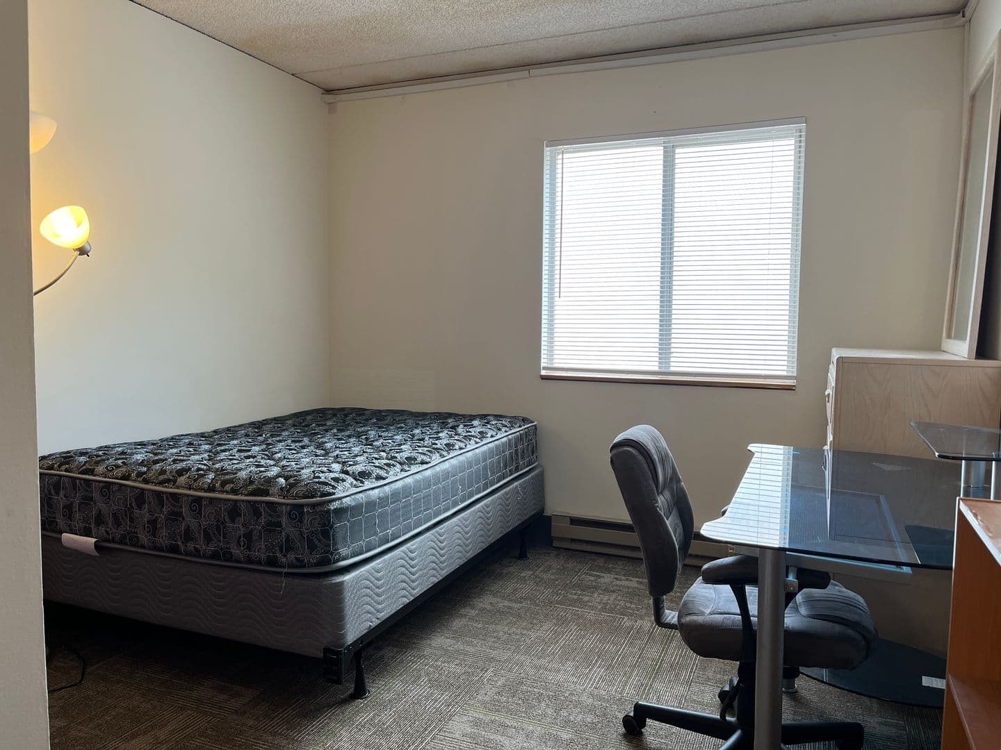 Ithaca Apartment: 110 Dryden Rd