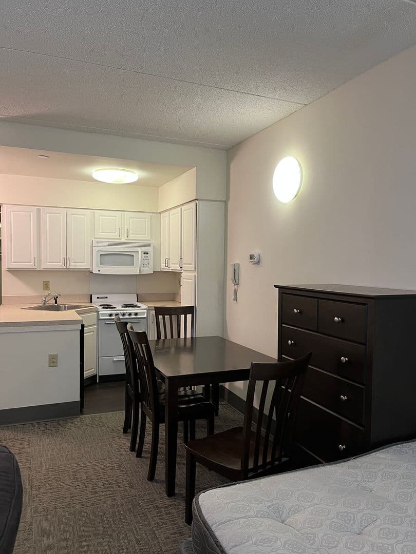 Ithaca Apartment: 407 College Ave