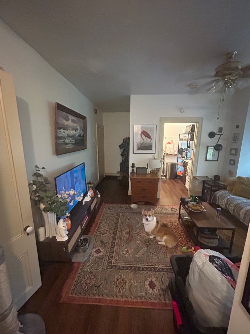 Ithaca Apartment: 321-323 N Tioga St