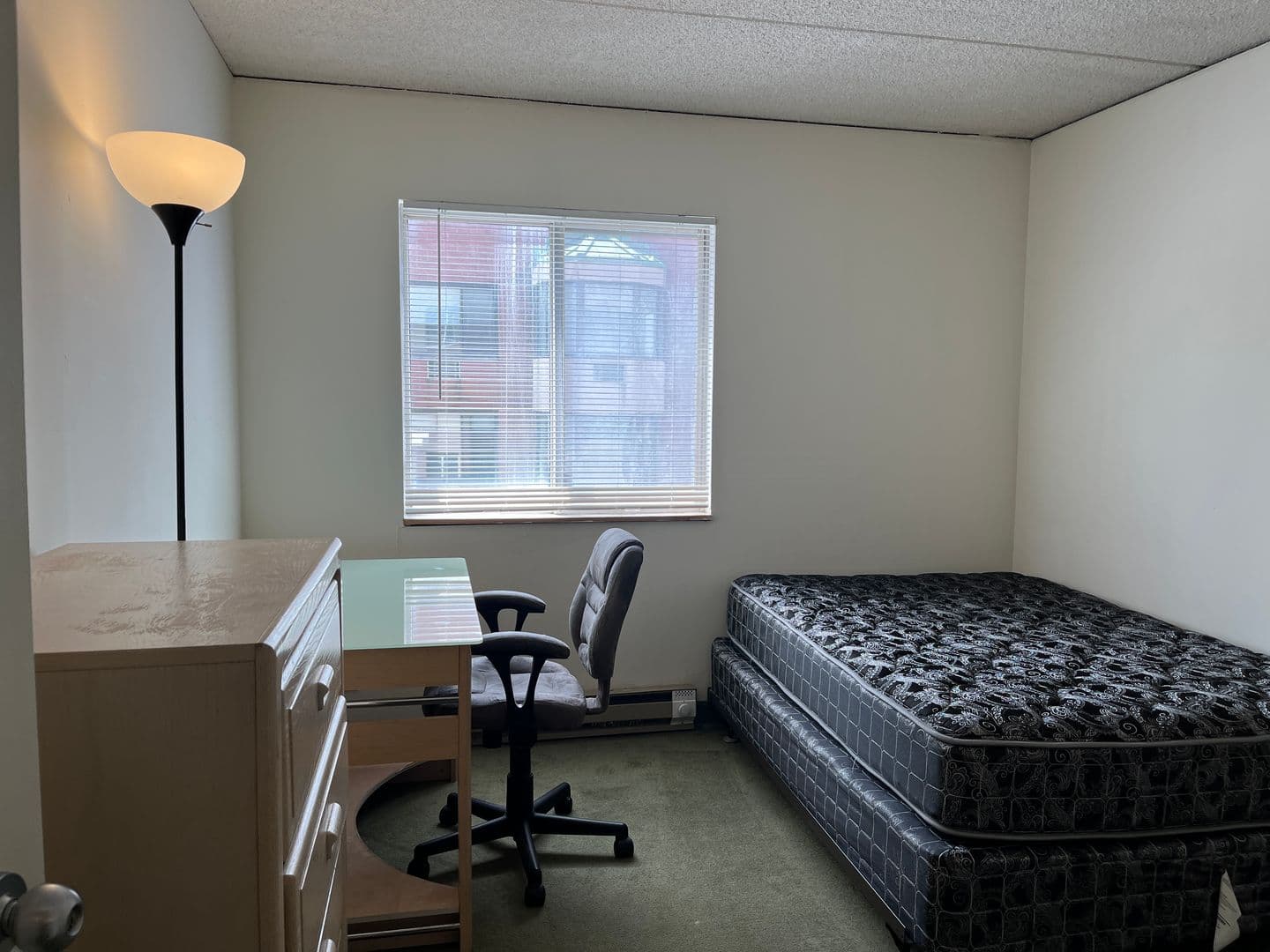 Ithaca Apartment: 110 Dryden Rd