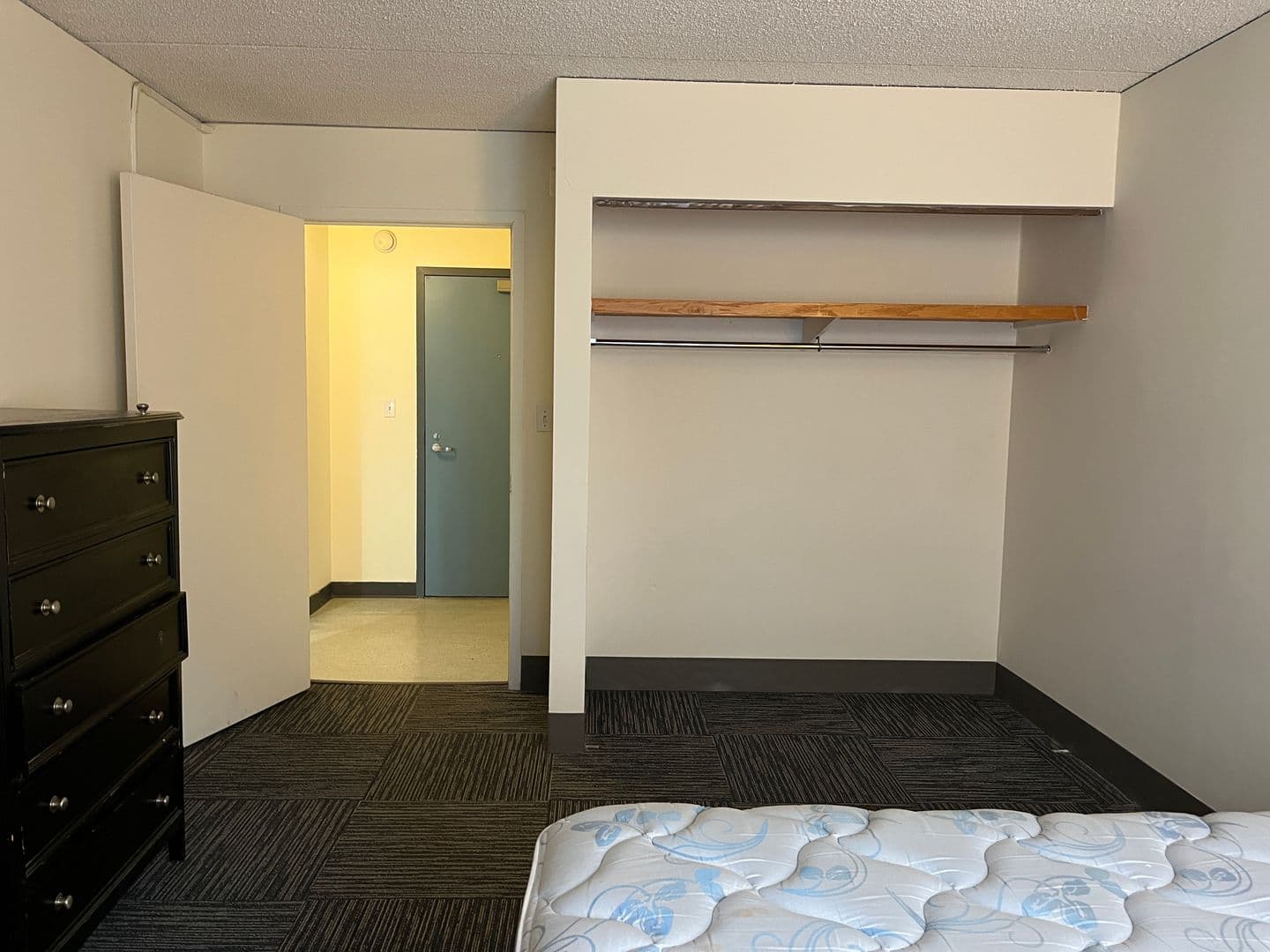 Ithaca Apartment: 110 Dryden Rd