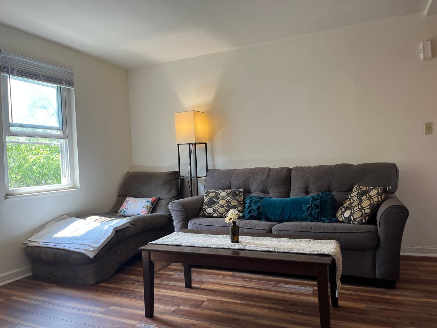 Ithaca Apartment: 319 Highland Ave