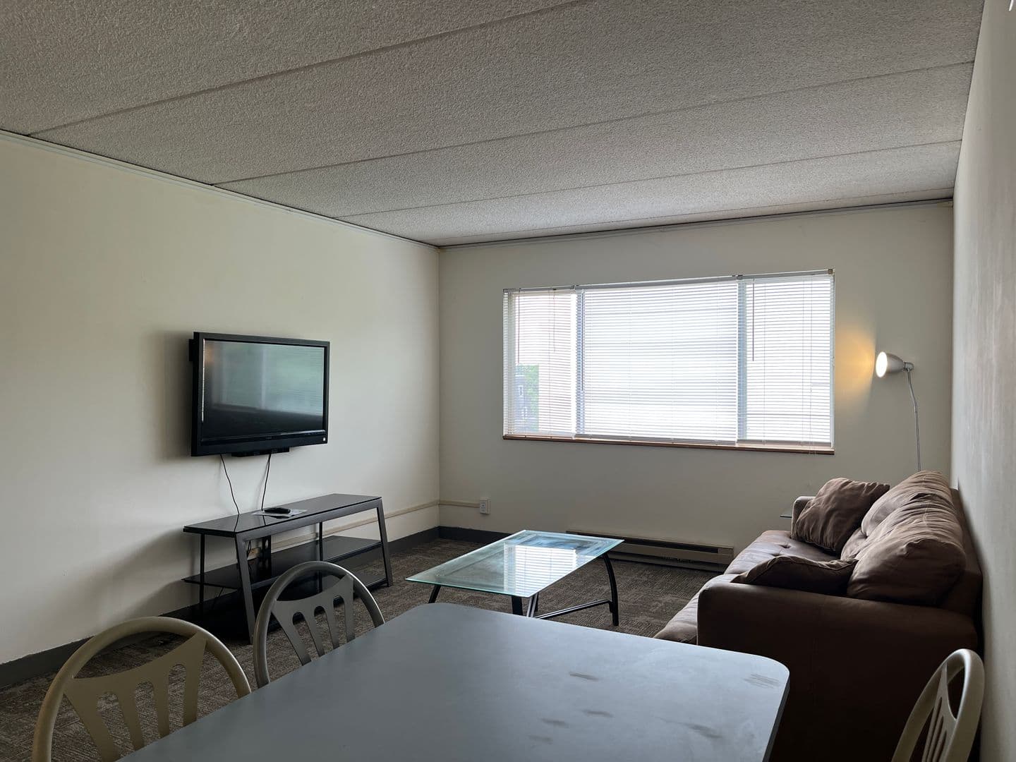 Ithaca Apartment: 110 Dryden Rd
